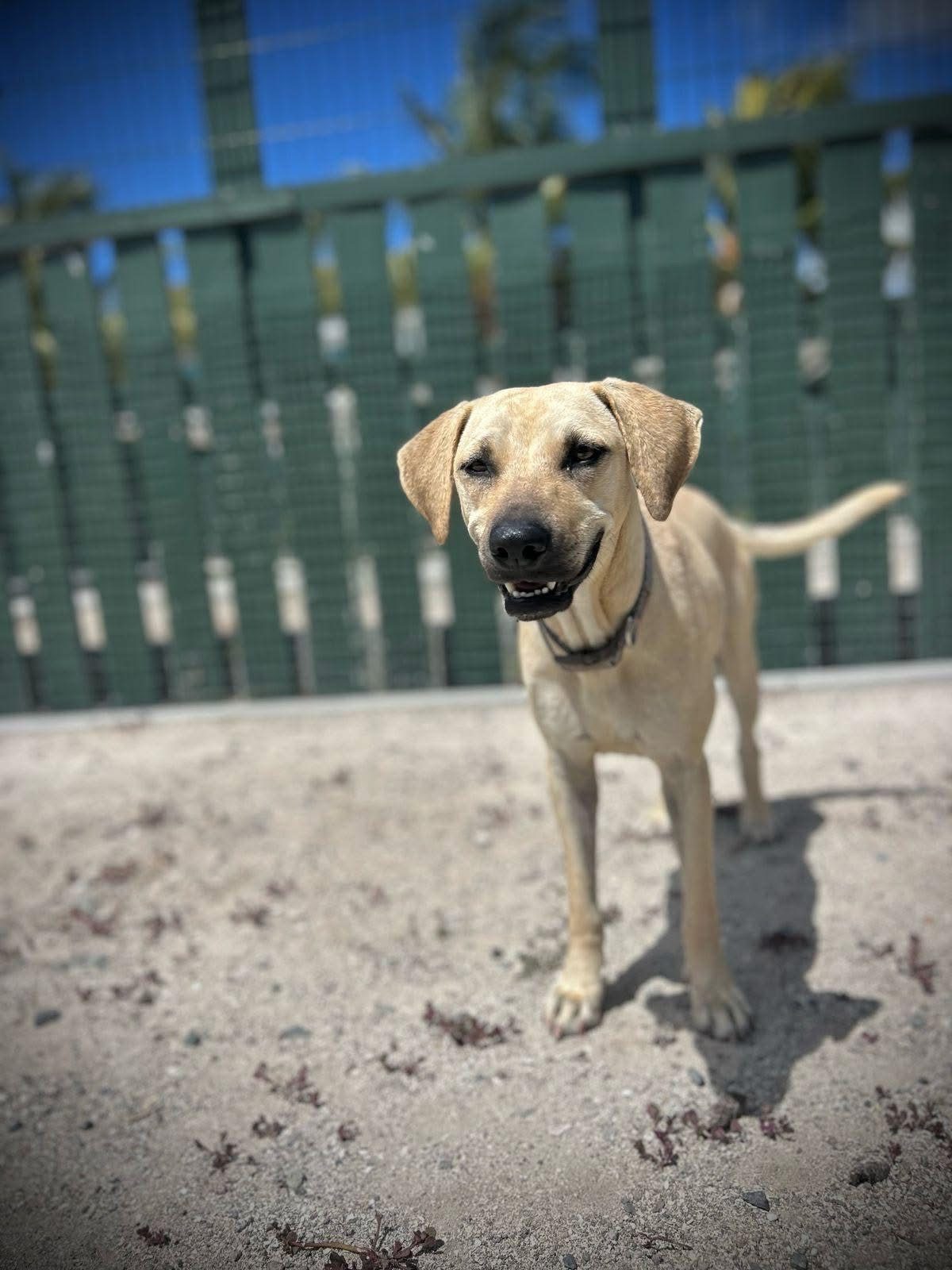 Photo of Riley