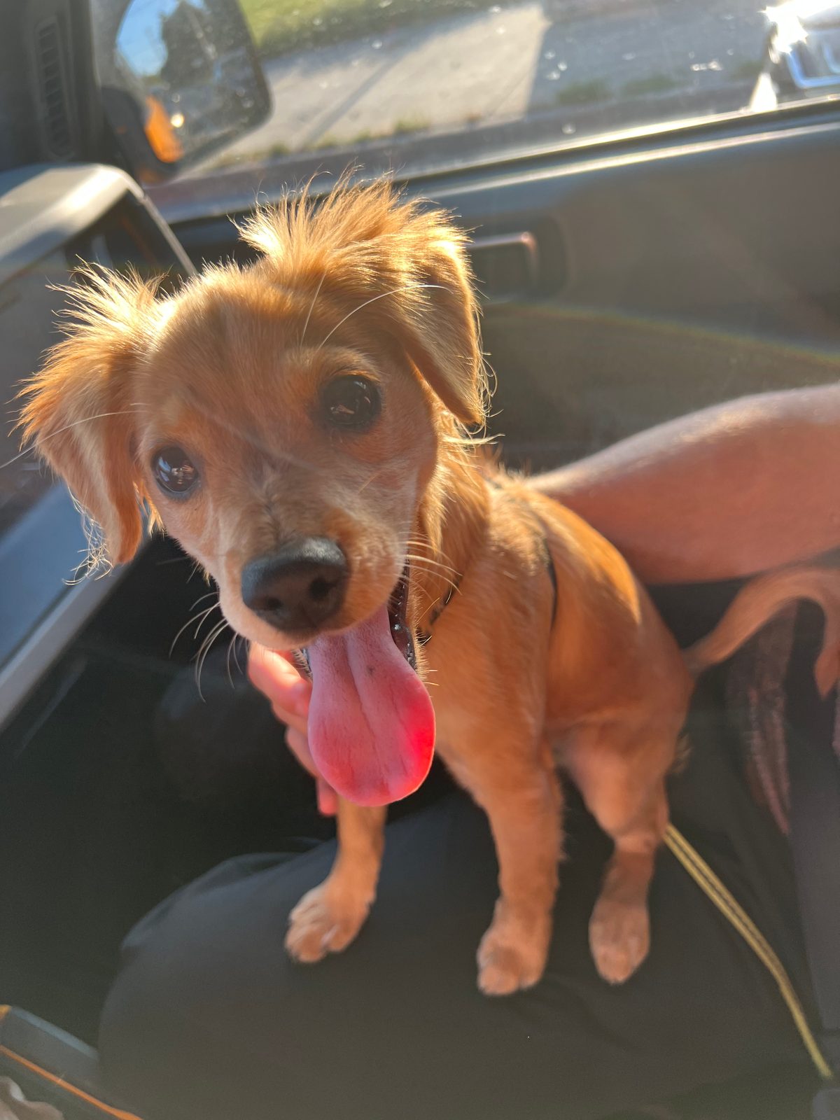 Photo of Riley