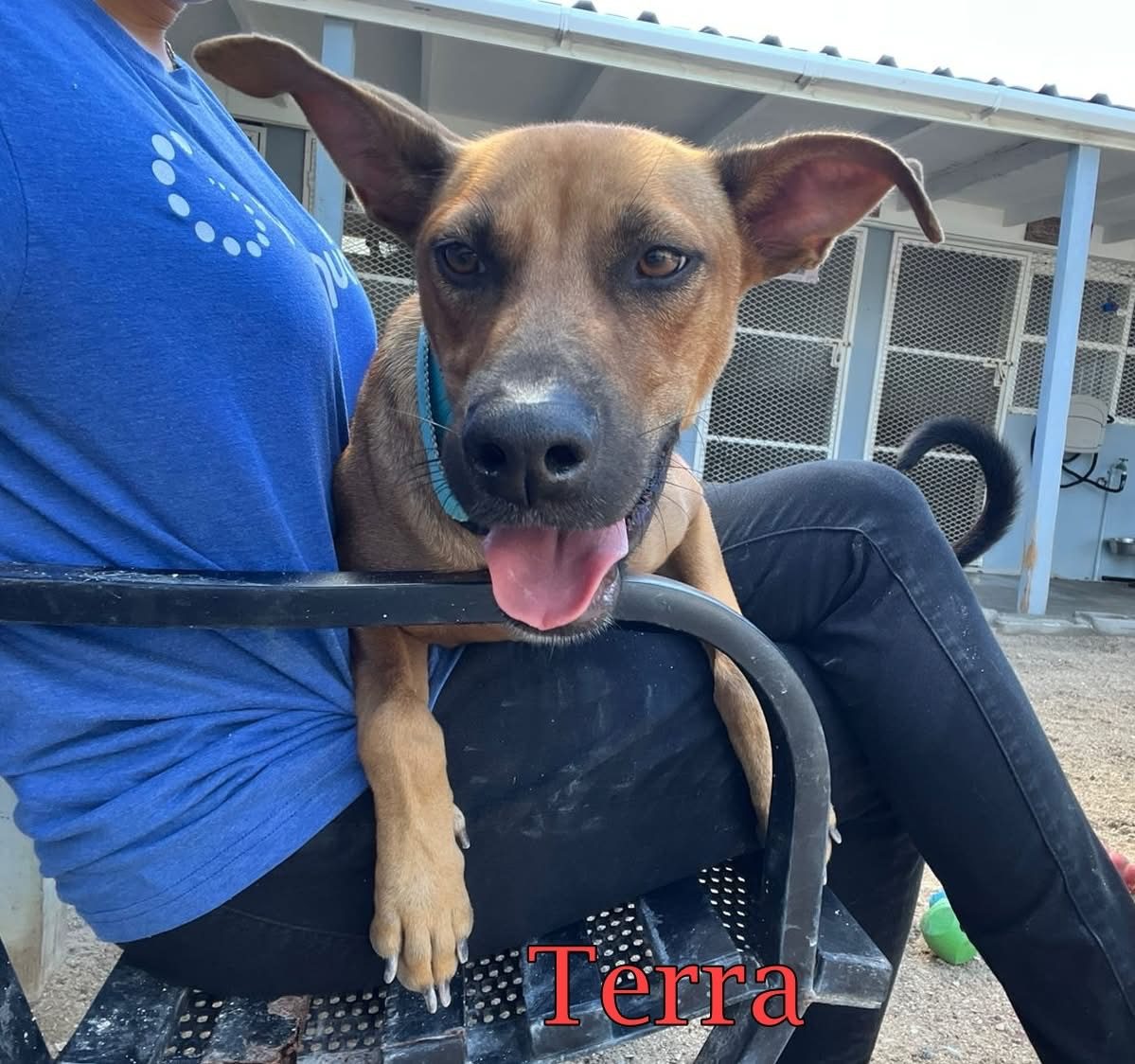 Photo of Terra