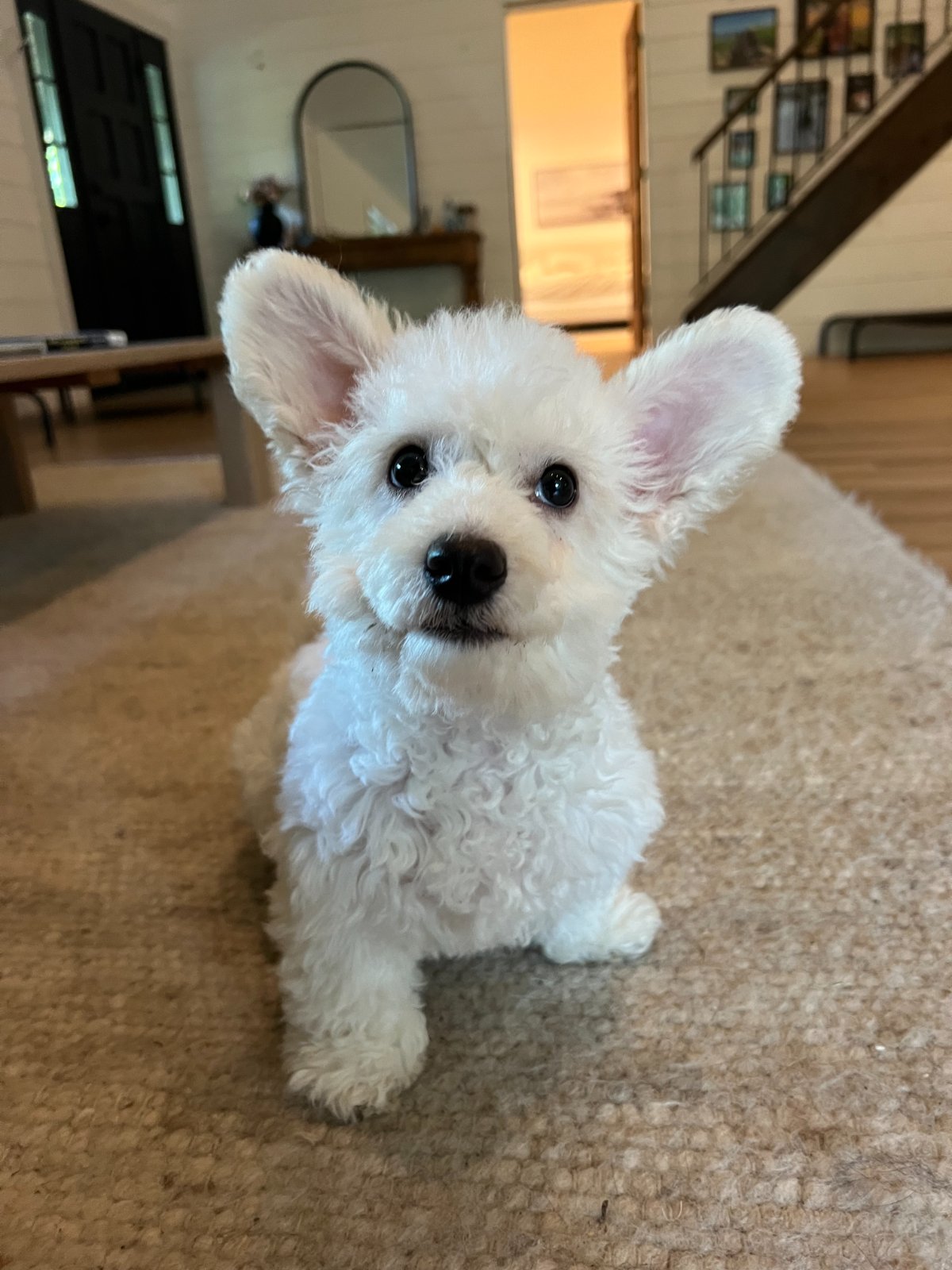 Photo of Thumper