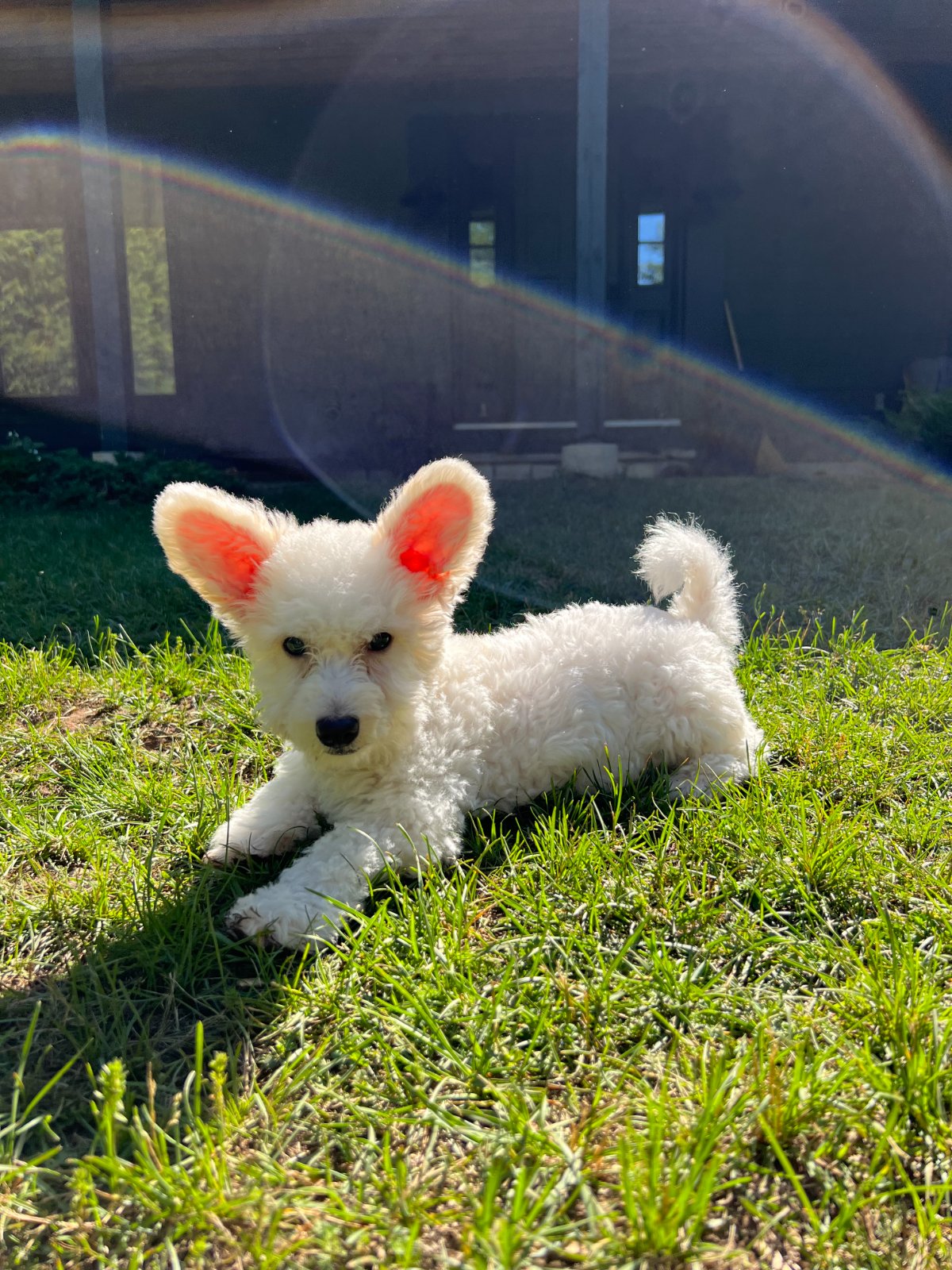 Photo of Thumper