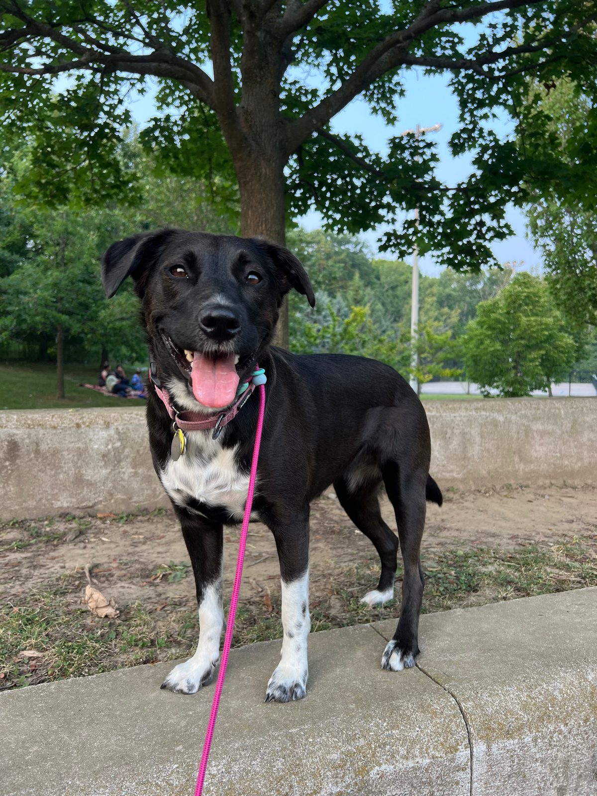 Photo of Tuck