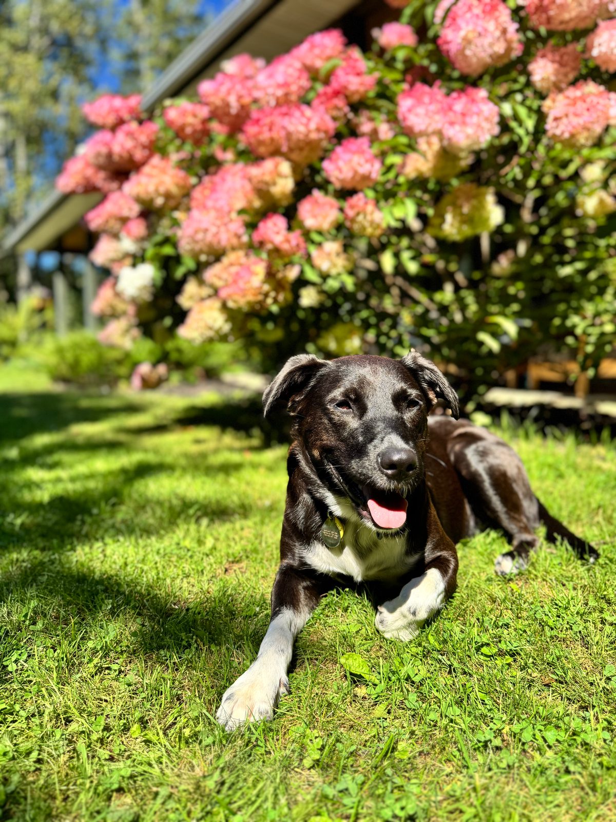 Photo of Tuck