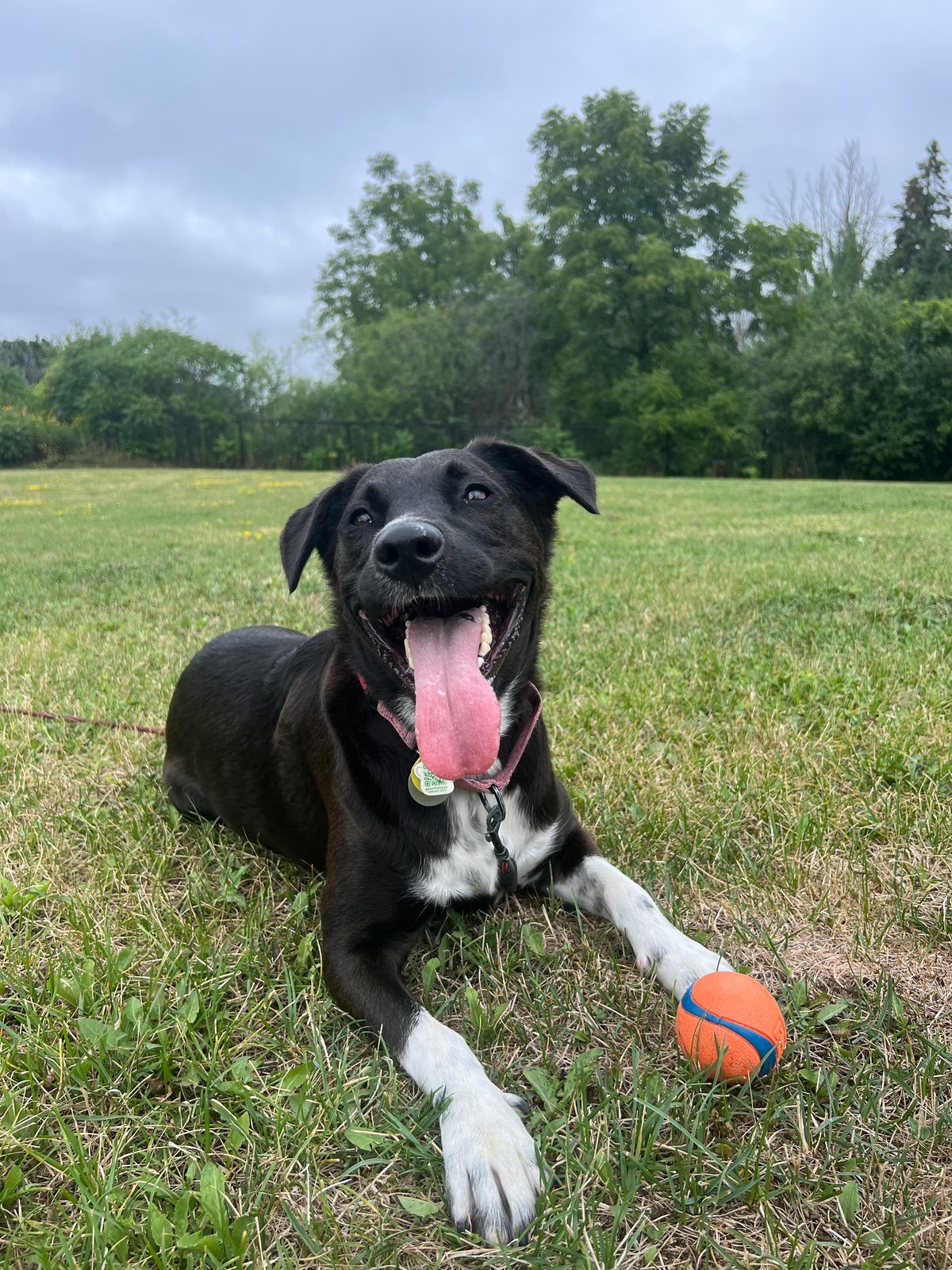 Photo of Tuck
