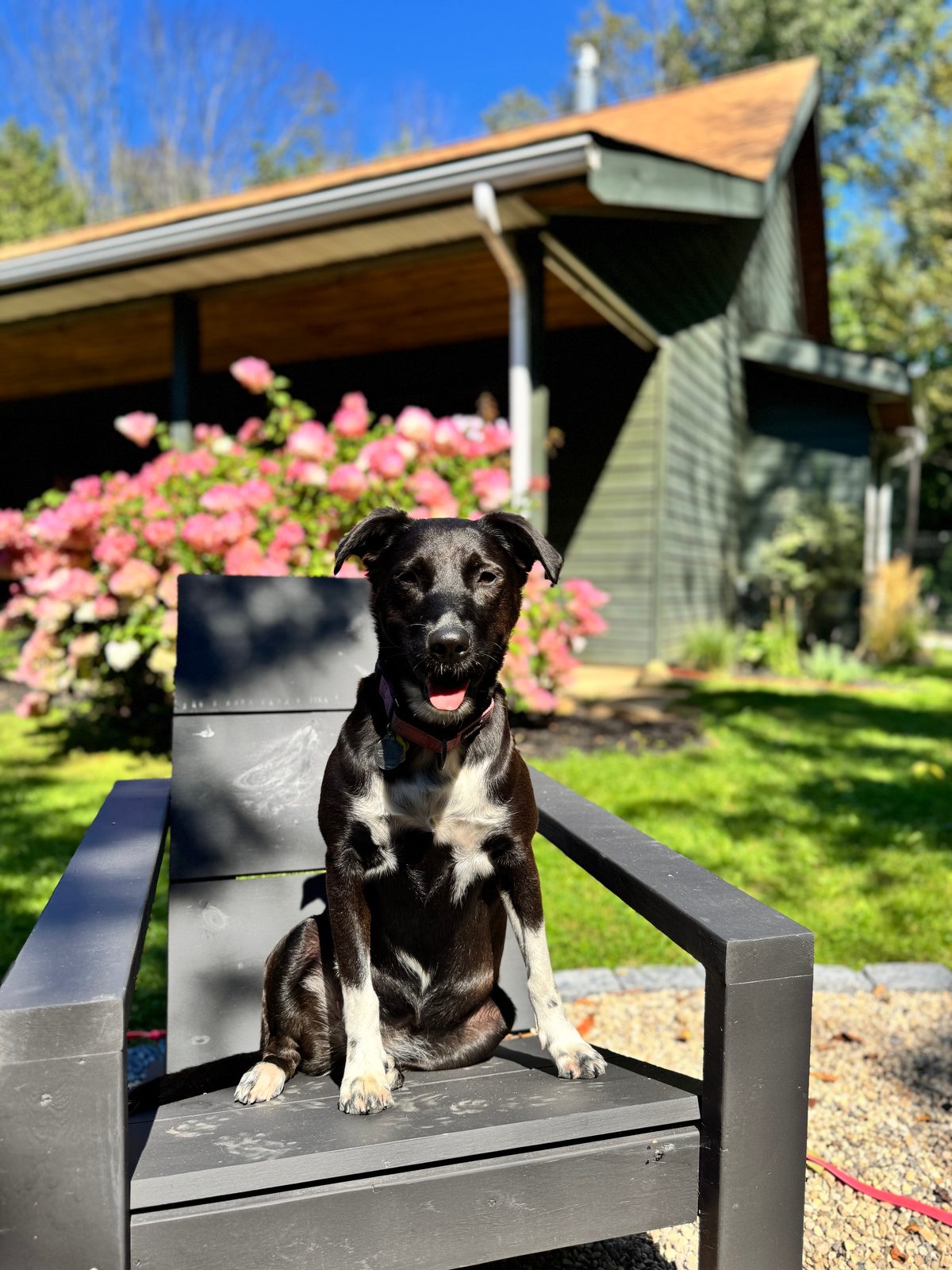 Photo of Tuck