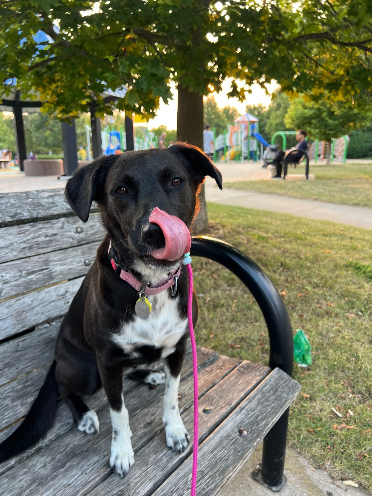 Photo of Tuck