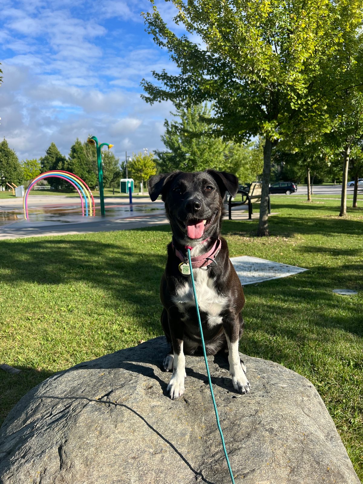 Photo of Tuck