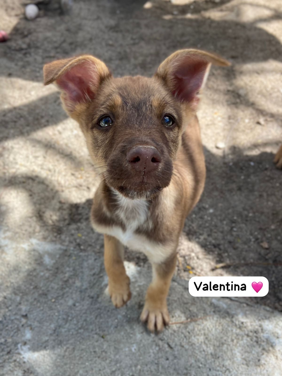 Photo of Valentina