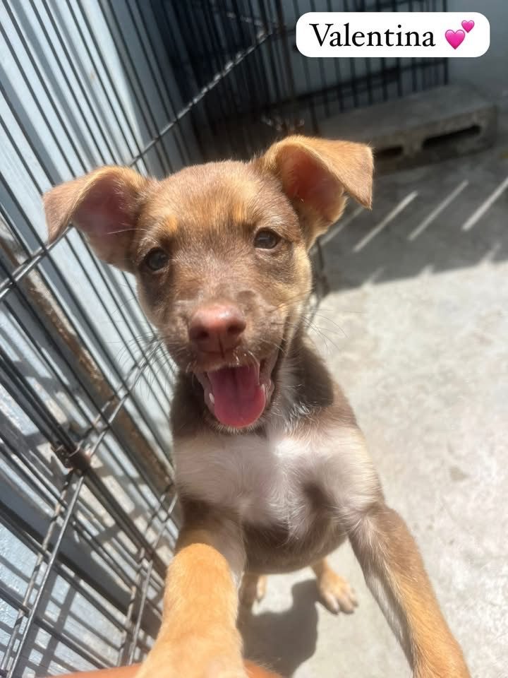 Photo of Valentina