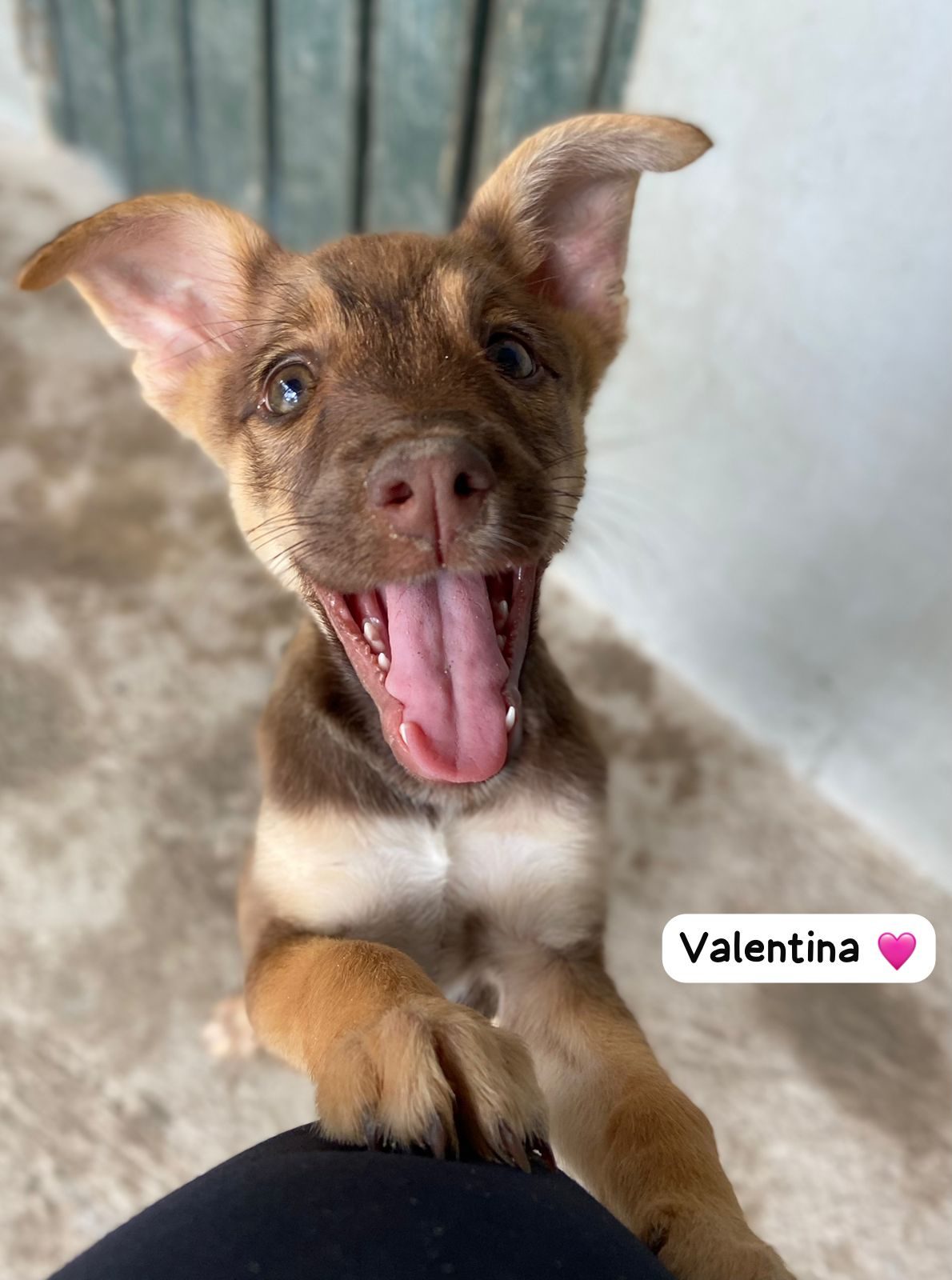 Photo of Valentina
