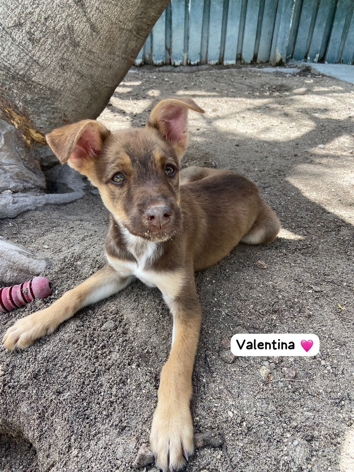 Photo of Valentina