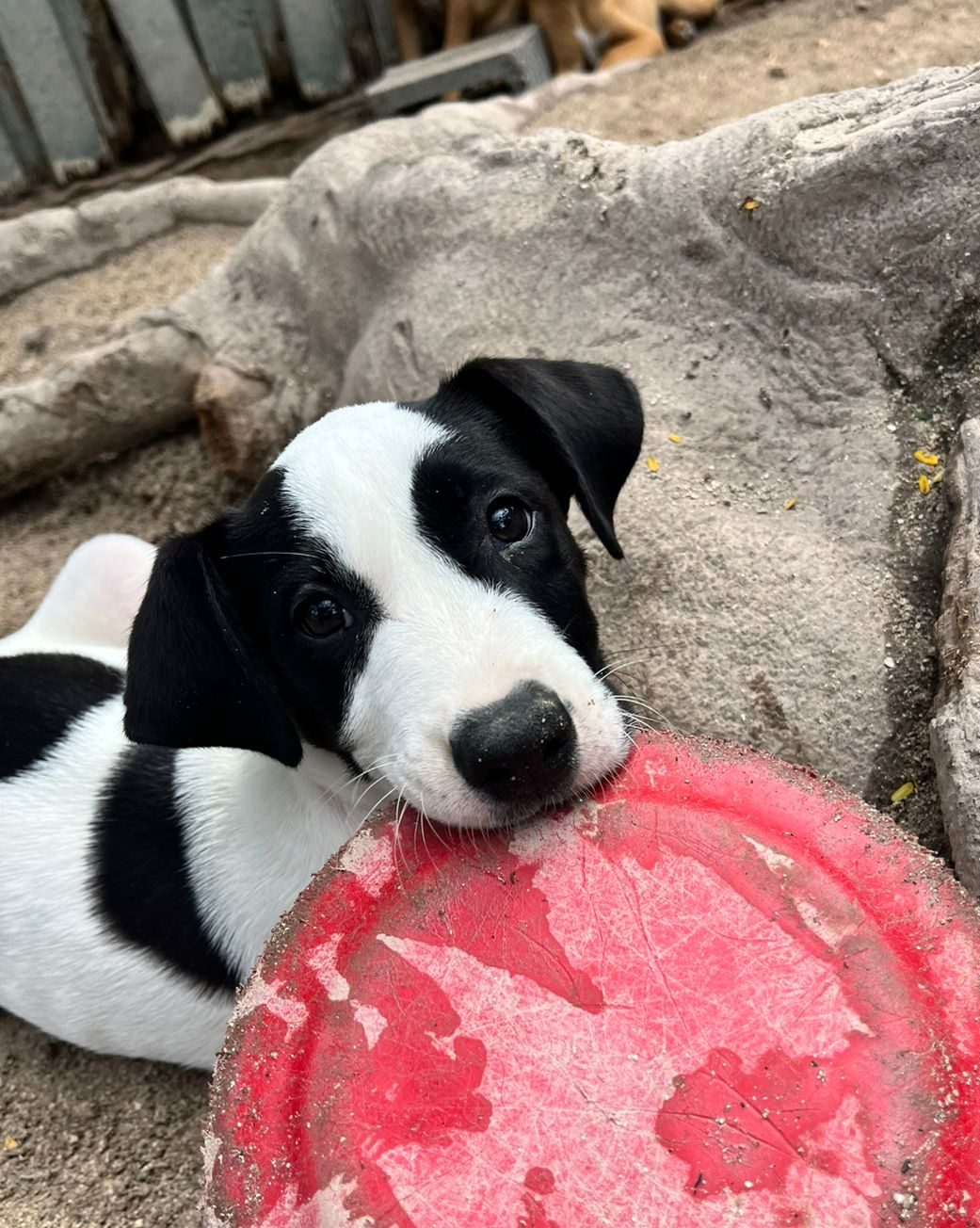 Photo of Wally