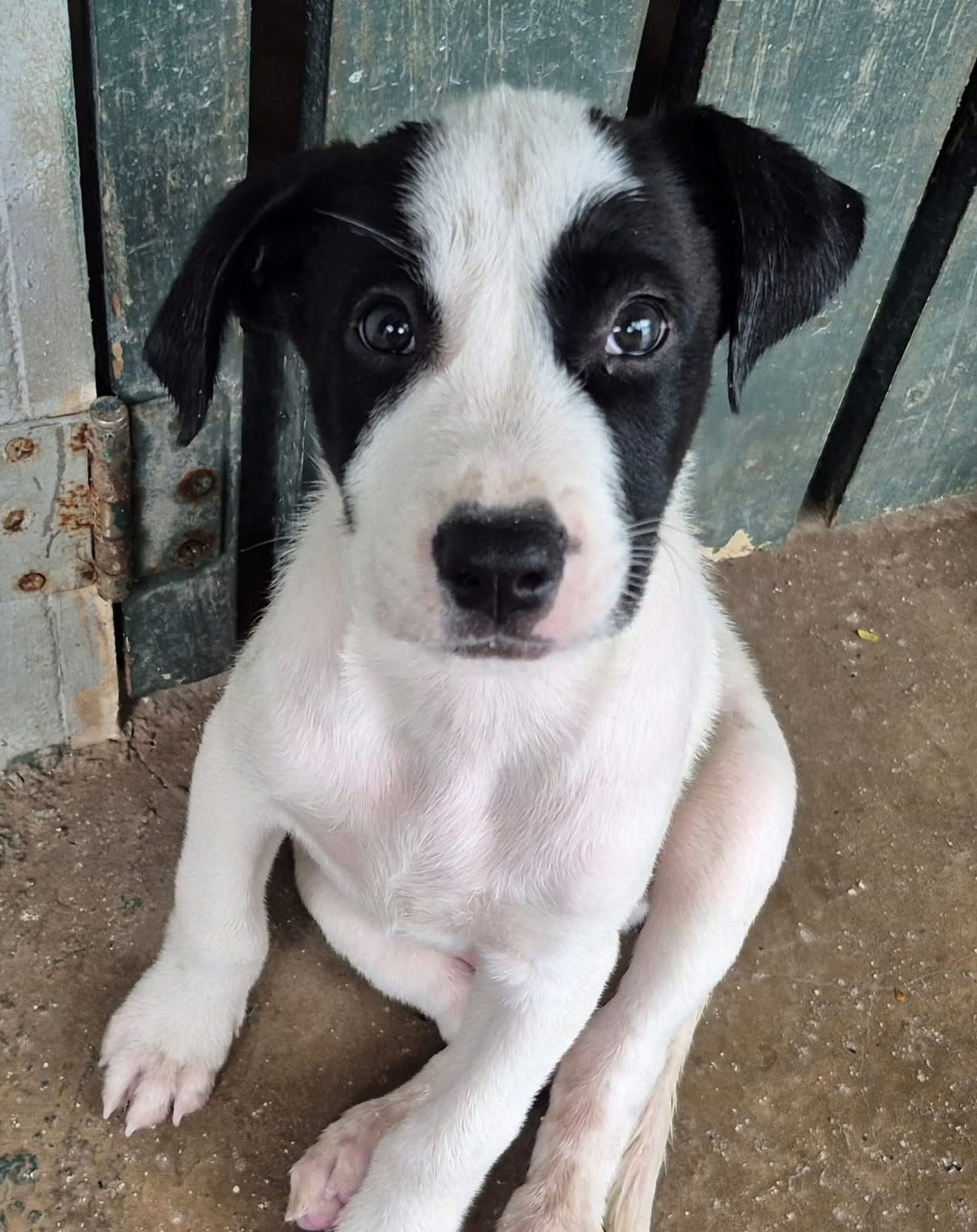Photo of Wally