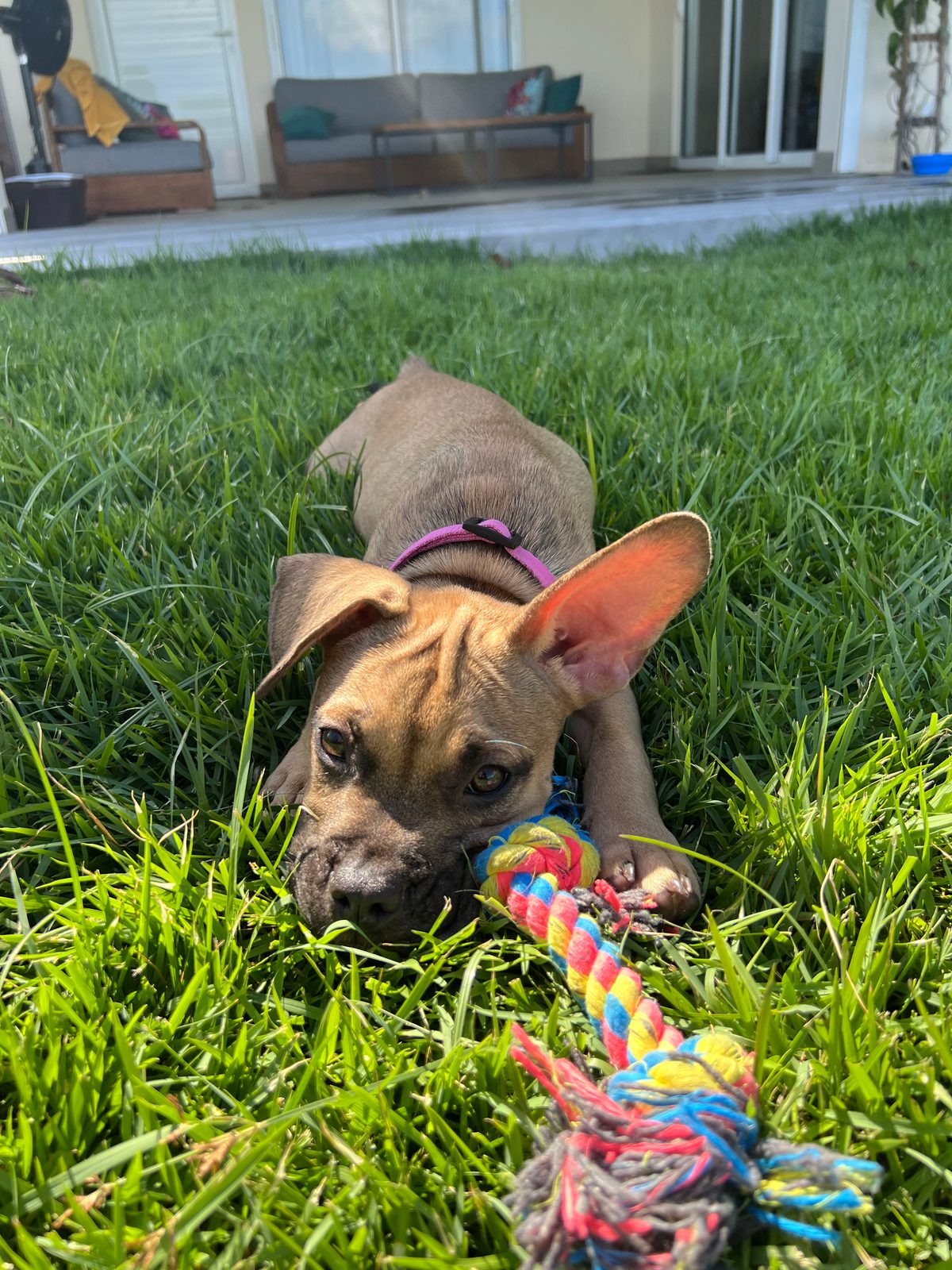 Photo of Winnie