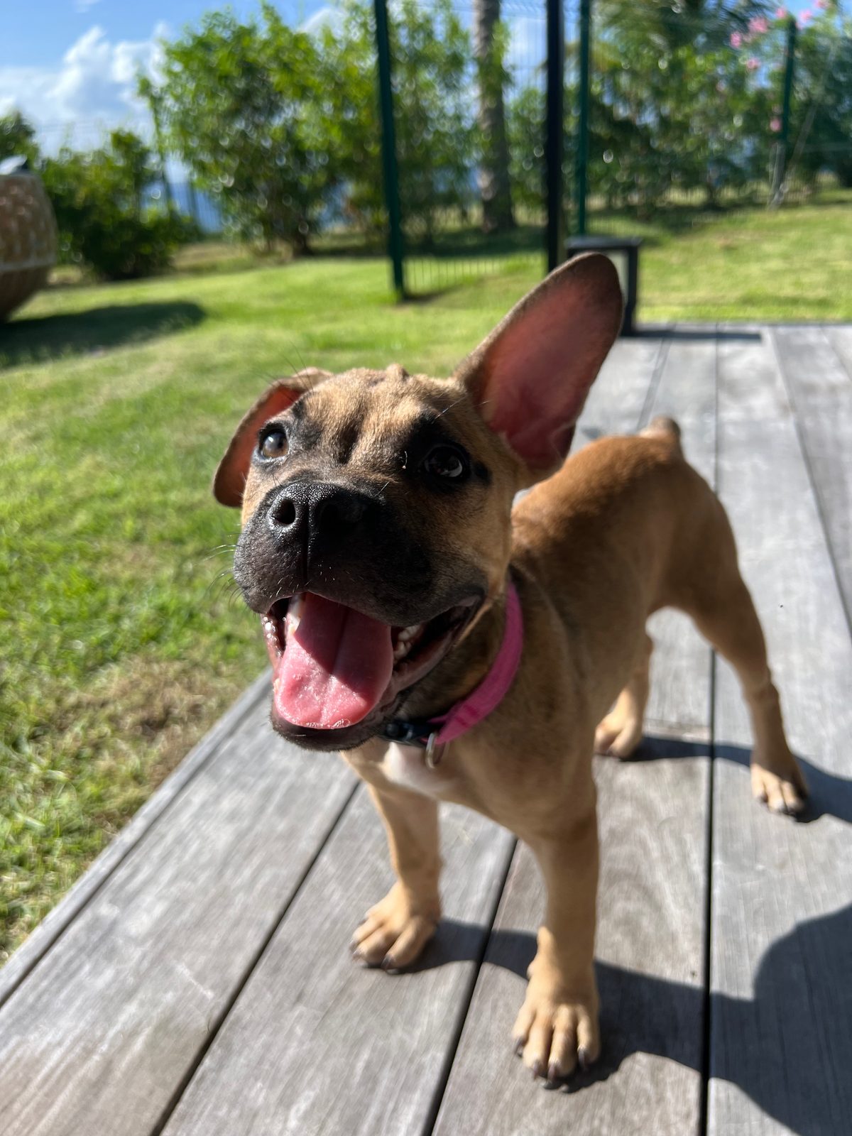 Photo of Winnie