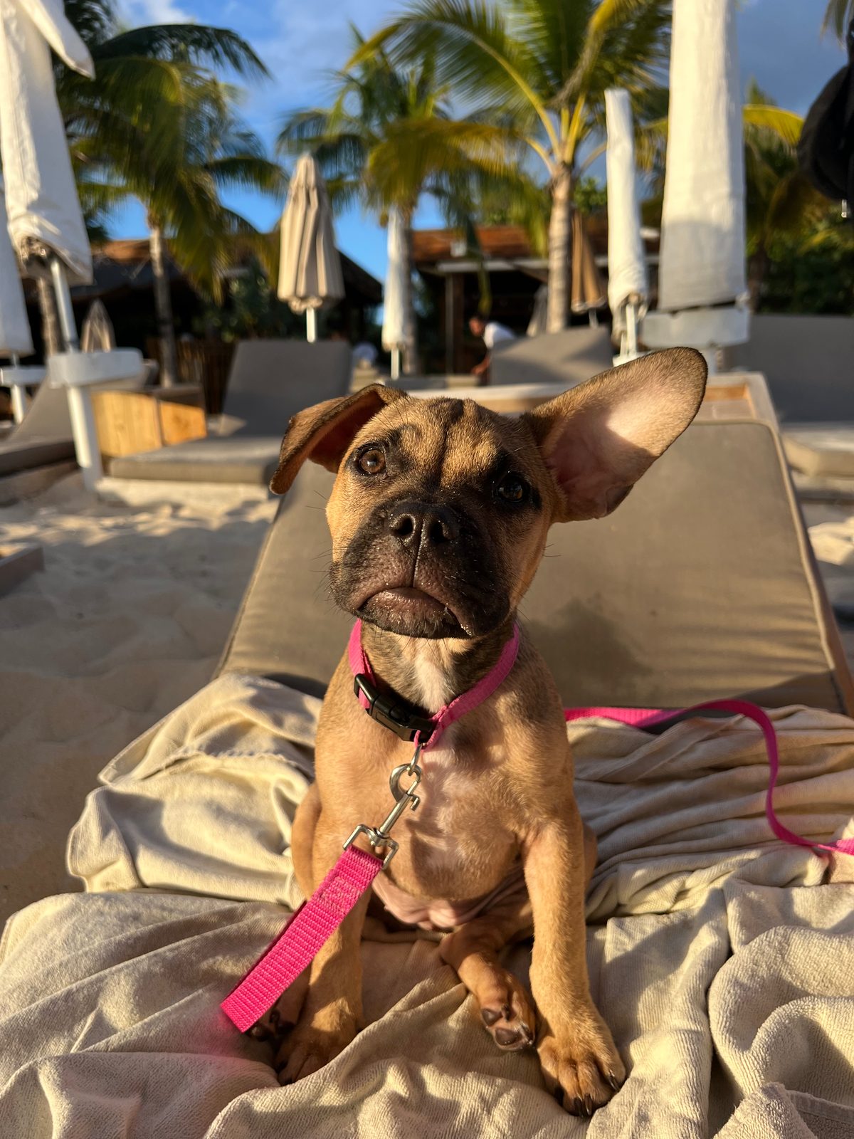 Photo of Winnie