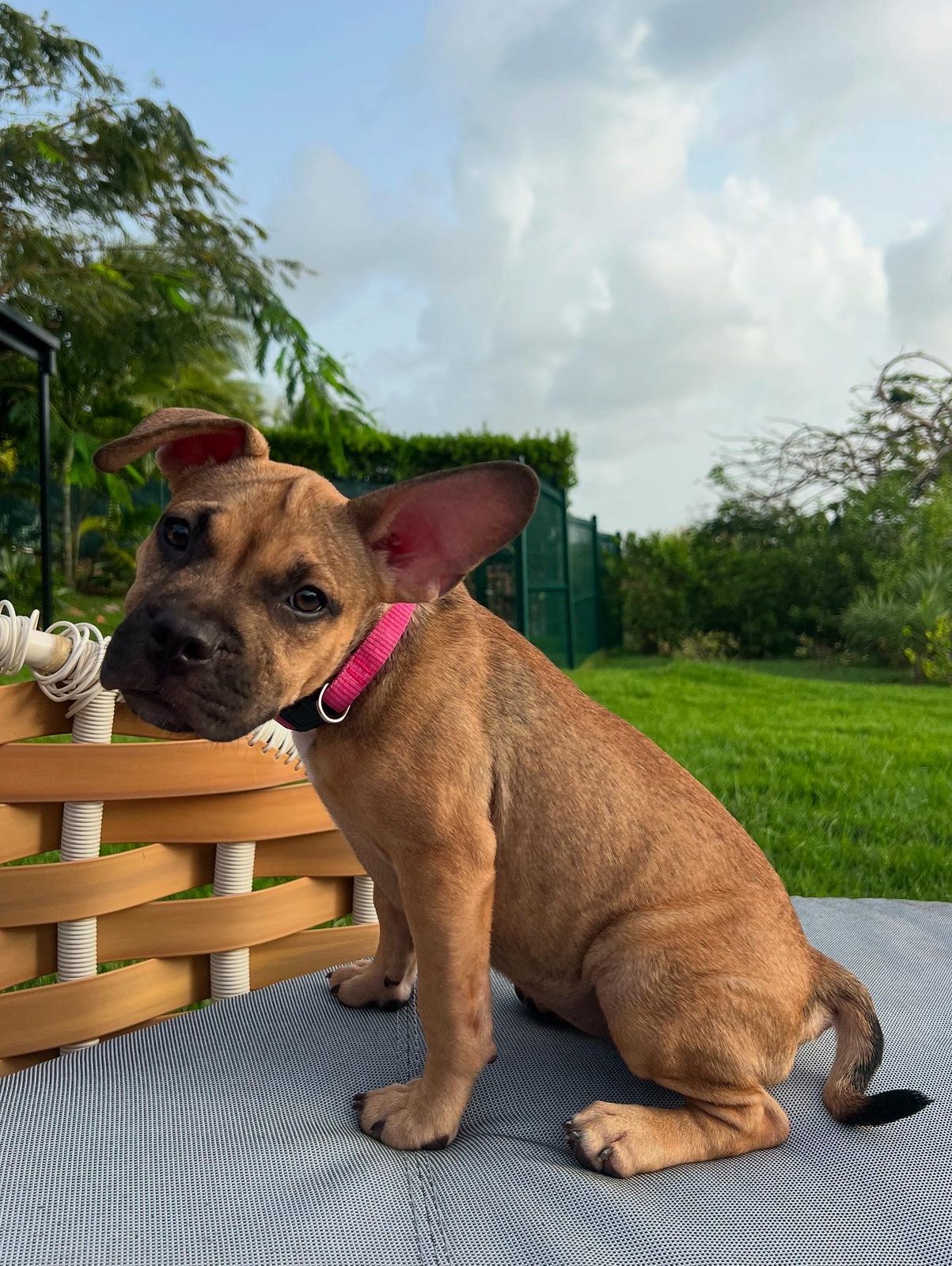 Photo of Winnie