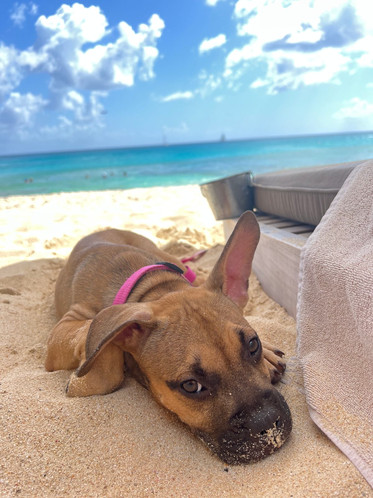 Photo of Winnie
