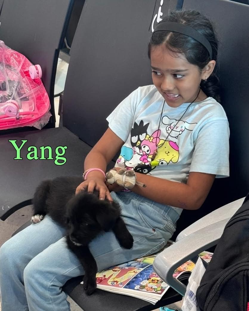 Photo of Yang