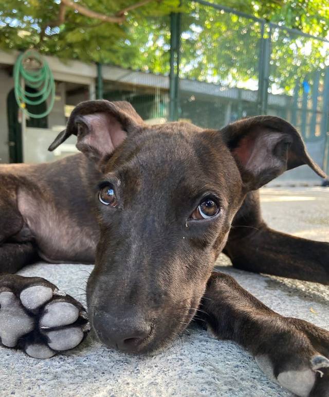 Photo of Alvin