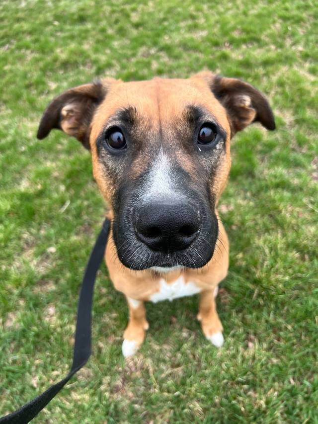 Photo of Athena