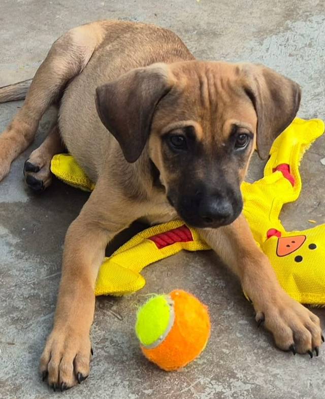 Photo of Blue