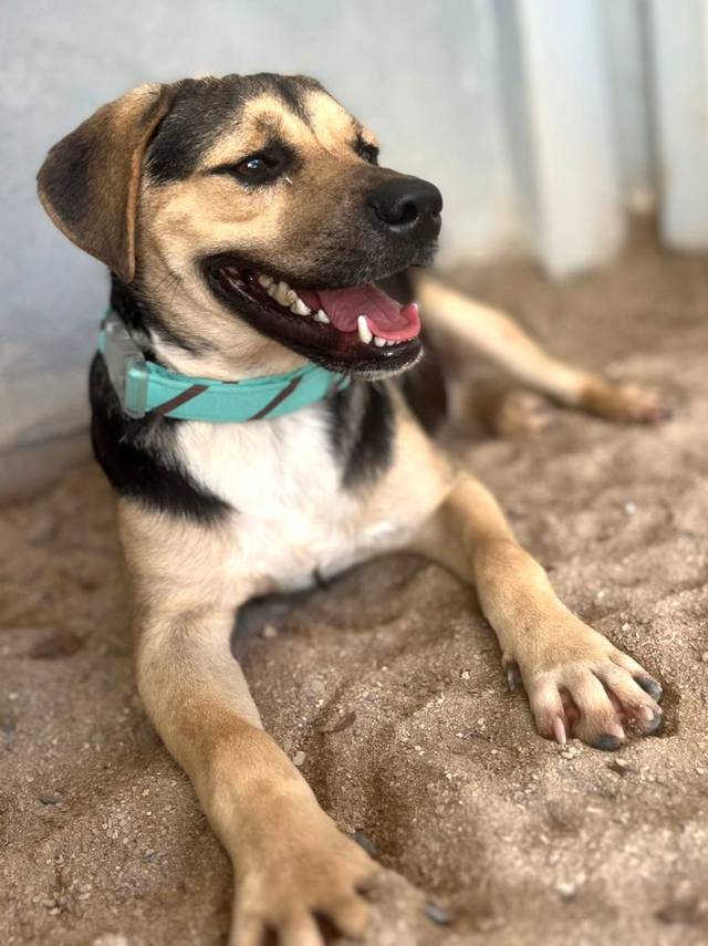 Photo of Bobby