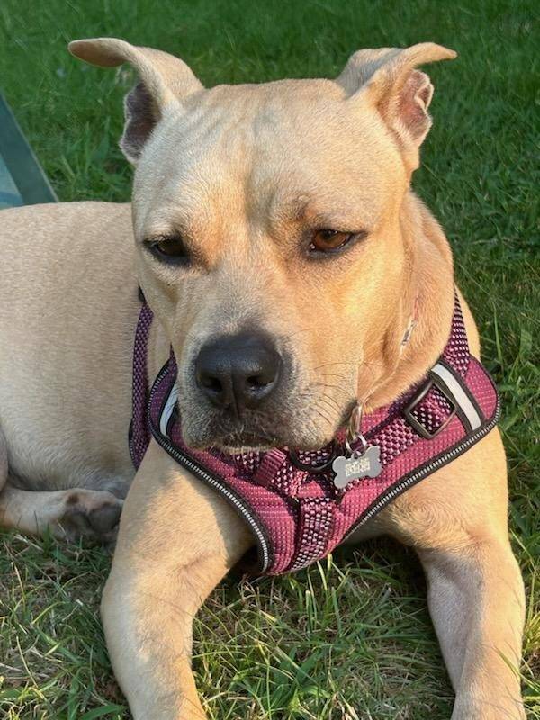 Photo of Bonnie
