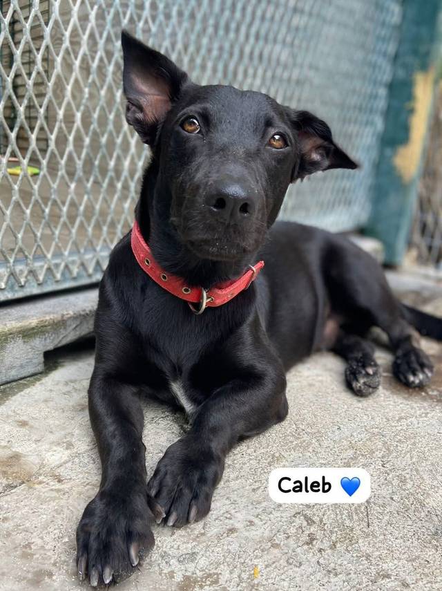 Photo of Caleb