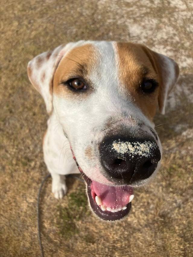 Photo of Chance