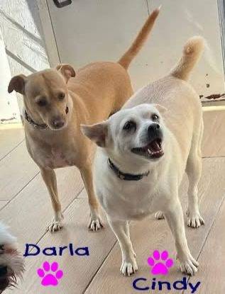 Photo of Darla & Cindy