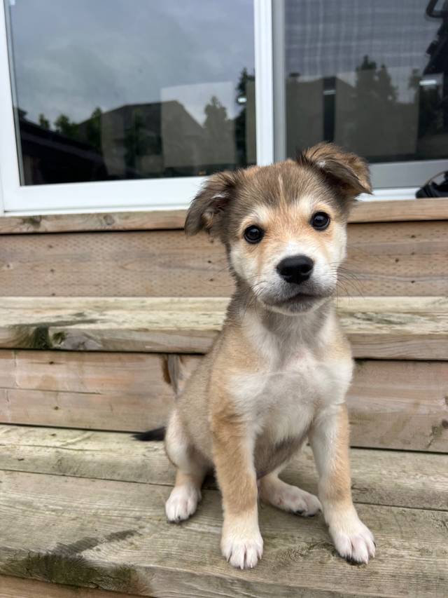 Photo of Jack