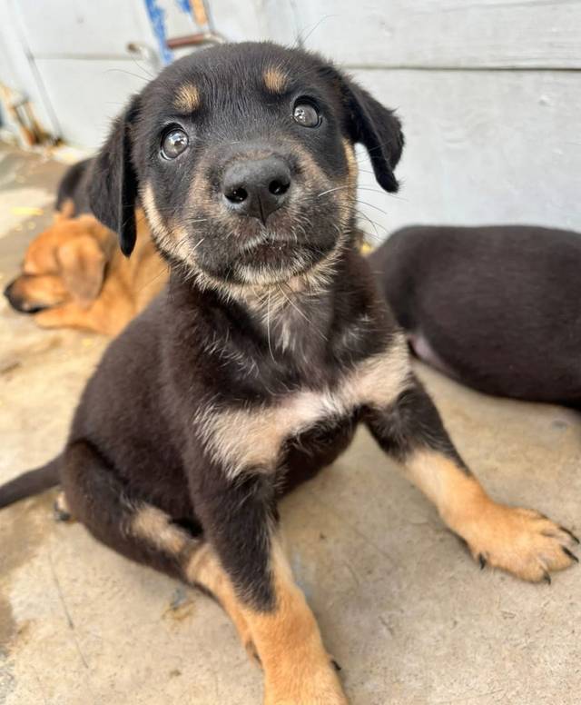 Photo of Holly