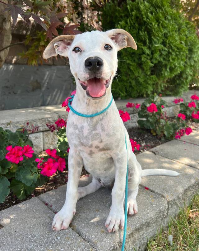 Photo of Isla
