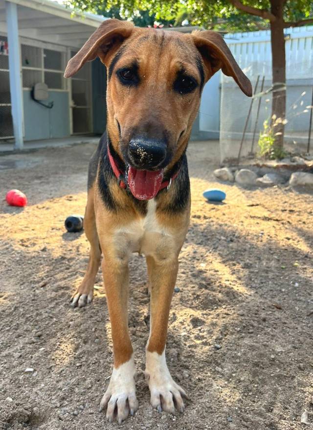 Photo of Jack
