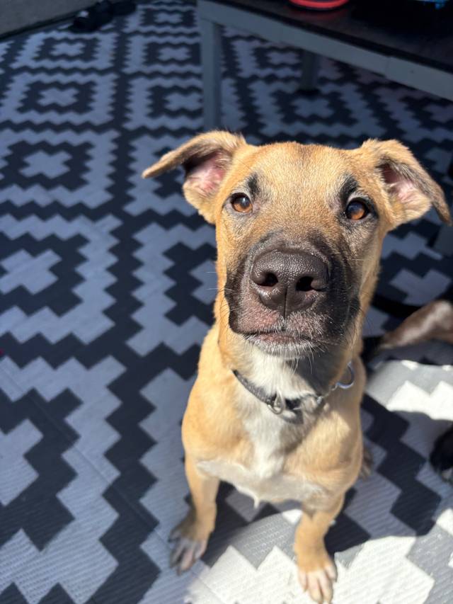Photo of Jake
