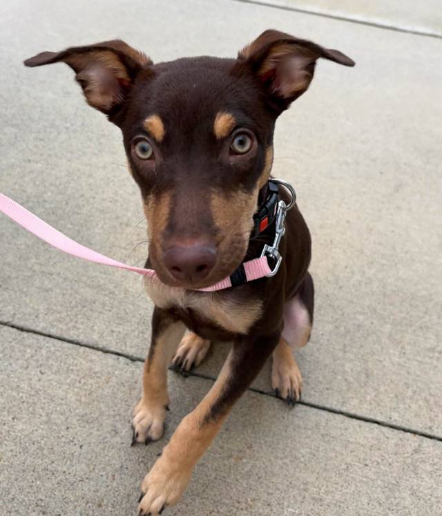 Photo of Jasmine
