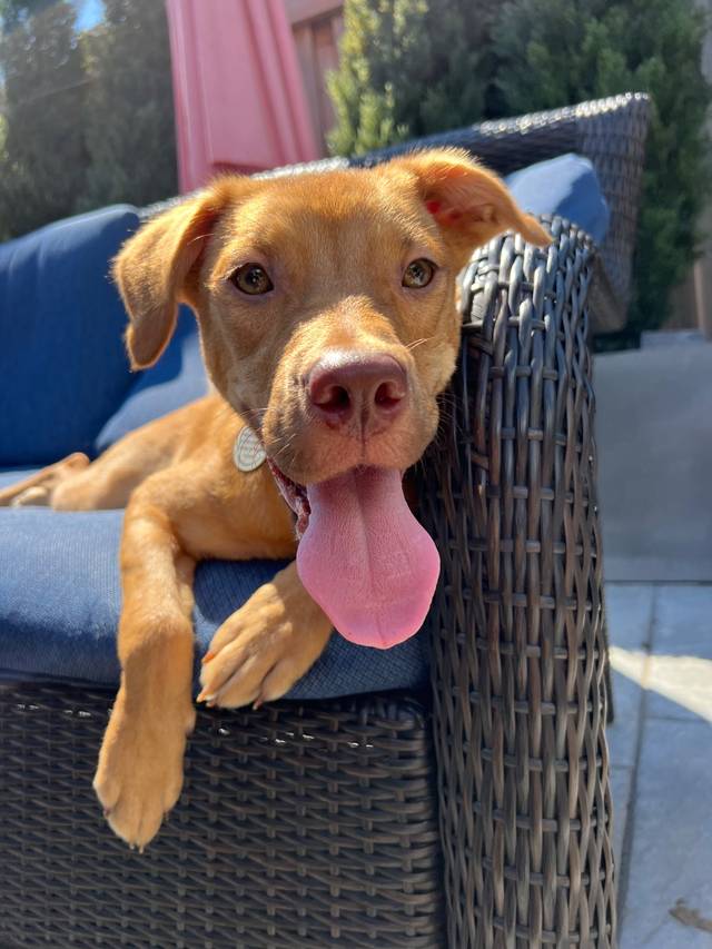 Photo of Katie