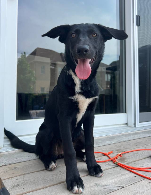 Photo of Lilly
