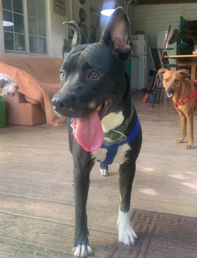 Photo of Lola