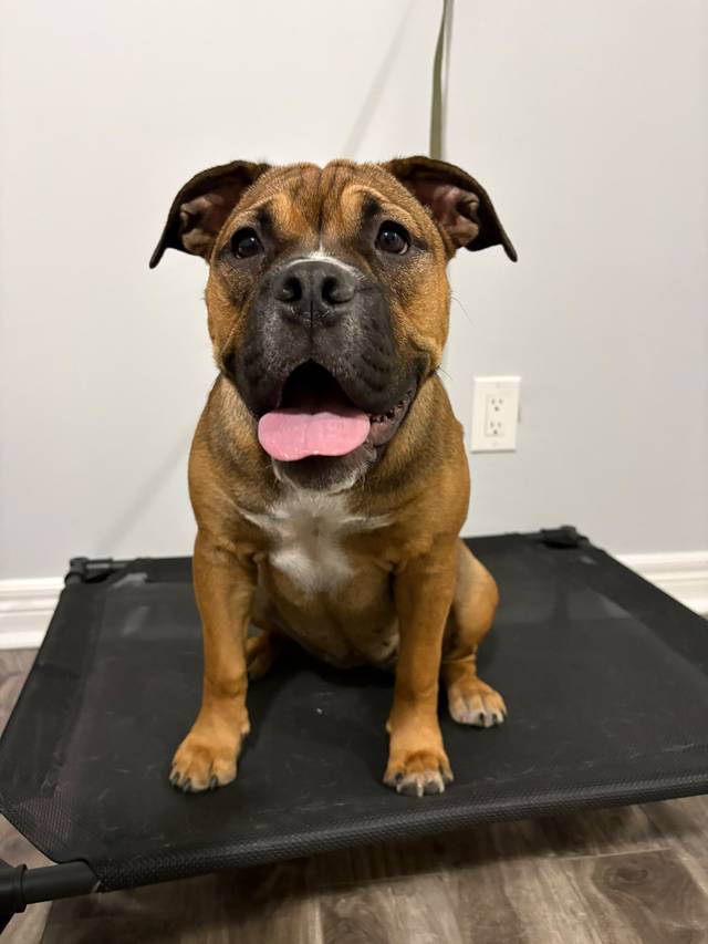 Photo of Lucy