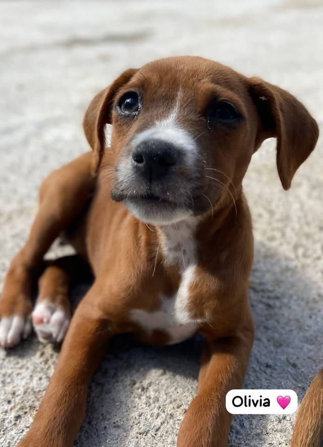 Photo of Olivia