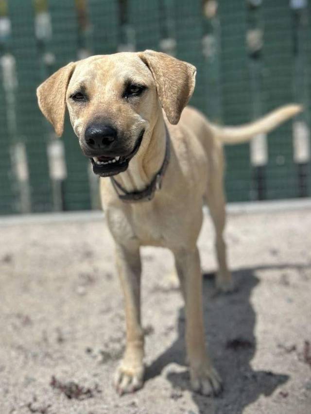 Photo of Riley