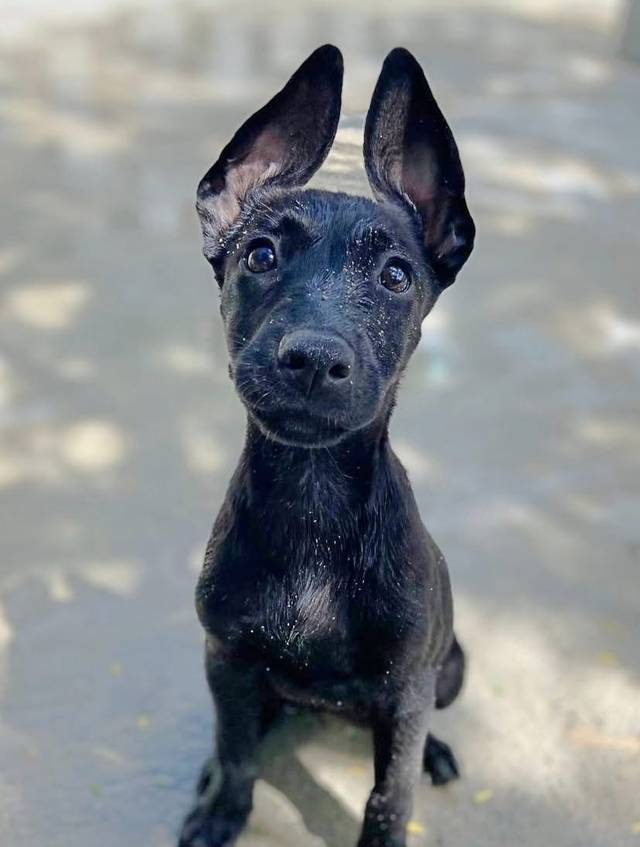 Photo of Sophie