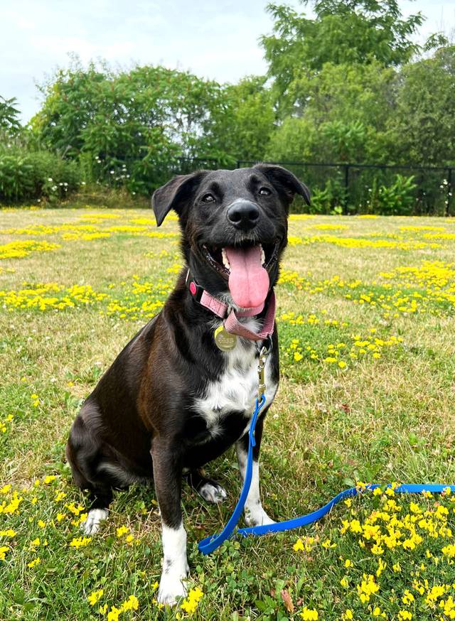 Photo of Tuck