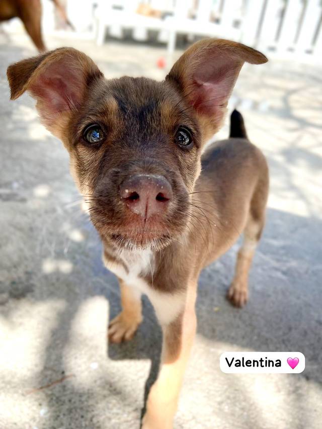 Photo of Valentina