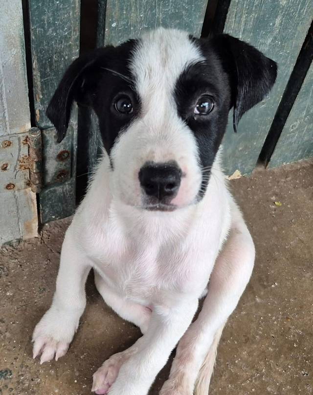 Photo of Wally