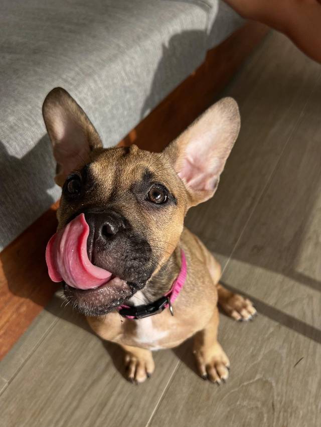 Photo of Winnie