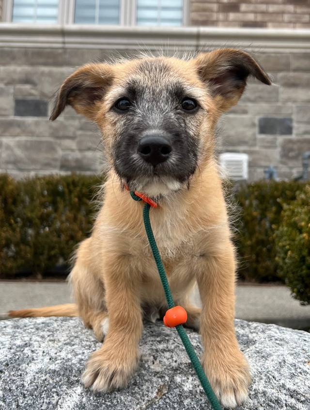 Photo of Zuko